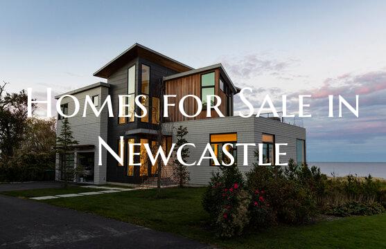 Homes for Sale in Newcastle